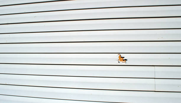 Best Stucco Siding  in Fort Atkinson, WI